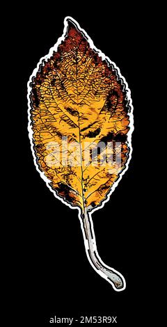 Un'arte digitale verticale di una foglia di colore autunnale isolata su sfondo nero Illustrazione Vettoriale