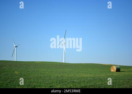 Turbina eolica che fornisce energia eolica - energia sostenibile in azienda agricola in campagna. Foto Stock