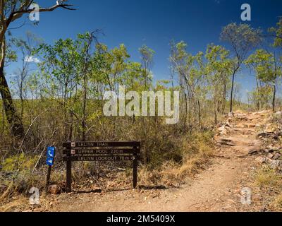 Incrocio con Upper Pool, Edith Falls (Leliyn), Nitmiluk National Park, Northern Territory, Australia Foto Stock