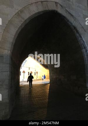 Nuova Moschea Hunkar Pavilion Gate (turco: Yeni Camii Hünkar Kasrı) nel quartiere Eminonu di Istanbul, Turchia. Foto Stock