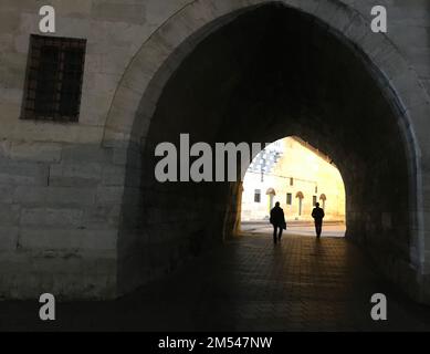 Nuova Moschea Hunkar Pavilion Gate (turco: Yeni Camii Hünkar Kasrı) nel quartiere Eminonu di Istanbul, Turchia. Foto Stock