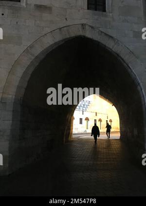 Nuova Moschea Hunkar Pavilion Gate (turco: Yeni Camii Hünkar Kasrı) nel quartiere Eminonu di Istanbul, Turchia. Foto Stock