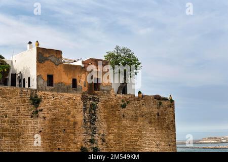 Vecchia parete della fortezza di Kasbah des Oudaias, Rabat, Rabat-sale-Kenitra, Marocco Foto Stock