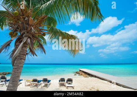 Vista della spiaggia caraibica con palma di cocco palma (Cocos nucifera) bagnando sedie a sdraio jetty dietro di esso mare blu Caraibi, Playa Lagun, Port Mari Foto Stock