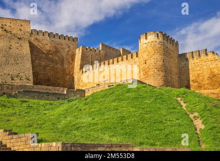 Cittadella Naryn-Kala a Derbent. Repubblica di Dagestan. Russia Foto Stock