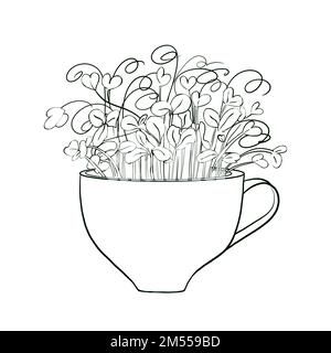 Germogli di microgreen in tazza. Cibo biologico naturale, illustrazione disegnata a mano isolata su sfondo bianco Foto Stock