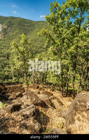 Riserva naturale della Garganta de los Infiernos, Valle del Jerte, beni di interesse culturale spagnolo, Cáceres, Estremadura, Spagna, Europa Foto Stock