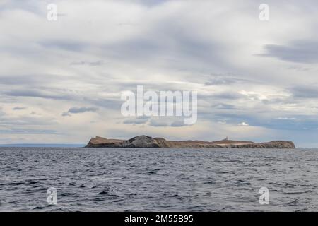 Nella zona naturale protetta di Isla Magdalena vive una colonia di 40,000 pinguini selvatici Foto Stock