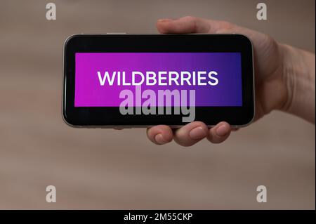 3 dicembre 2022, Almaty, Kazakhstan: wildberries logo sullo schermo di uno smartphone in una mano femminile. Foto Stock