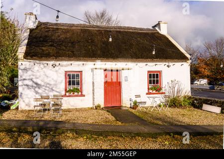 Grazioso cottage irlandese imbiancato, attualmente in uso come caffetteria e caffetteria, Kilmacreenan, County Donegal, Repubblica d'Irlanda. Foto Stock