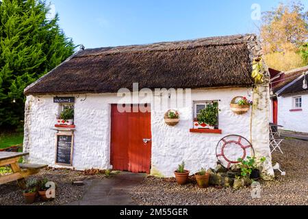 Grazioso cottage irlandese imbiancato, attualmente in uso come caffetteria e caffetteria, Kilmacreenan, County Donegal, Repubblica d'Irlanda. Foto Stock