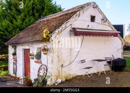 Grazioso cottage irlandese imbiancato, attualmente in uso come caffetteria e caffetteria, Kilmacreenan, County Donegal, Repubblica d'Irlanda. Foto Stock