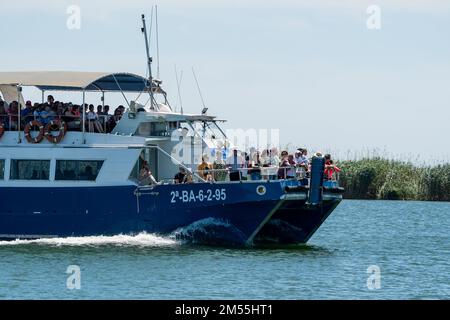 Turisti in barca, Delta Ebro, Catalogna, Spagna Foto Stock