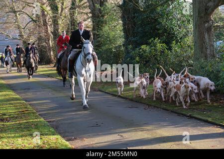 Stourbridge, Regno Unito. 26th Dec 2022. I membri della caccia all'Albrighton & Woodland si riuniscono presso la Hagley Hall vicino a Stourbidge, nelle West Midlands, per la tradizionale caccia di Santo Stefano. La tradizionale caccia si riunisce una folla record per guardare i cani e i cavalieri a cavallo in partenza per le cacciate di sentieri nella vicina campagna. Credit: Ian Tennant/Alamy Live News Foto Stock