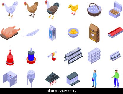 Pollo pollame fattoria icone impostare vettore isometrico. Produzione di alimentazione. Industria delle uova Illustrazione Vettoriale
