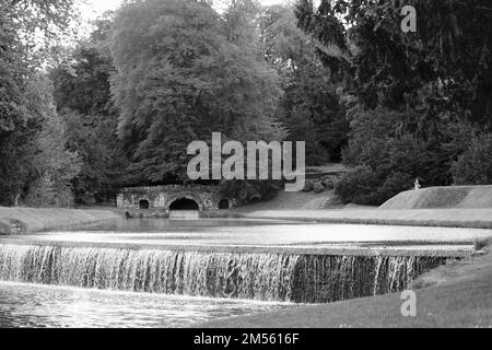 Una foto in scala di grigi di una cascata con uno sfondo di alberi Foto Stock