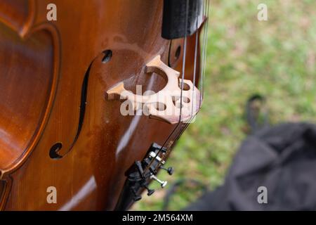 primo piano del ponte, delle corde e delle orecchie di un violoncello, sistemati sul prato pronti per essere suonati in un'esibizione musicale. Foto Stock