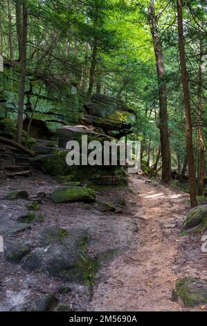 Sentiero escursionistico sul sentiero delle sporgenze nel Parco Nazionale della Valle di Cuyahoga Foto Stock