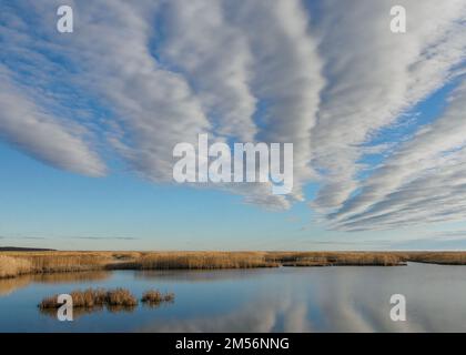 Nuvole sopra Edwin B. Forsythe National Wildlife Refuge Foto Stock