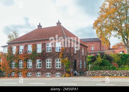 Bella casa di tenement cresciuto con edera selvatica in autunno Danimarca Foto Stock