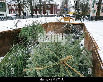 Tallinn, Estonia - 22 gennaio 2022: Grande contenitore per rifiuti su una strada cittadina per consentire alle persone di portare i loro vecchi alberi di Natale. Servizio municipale gratuito Foto Stock