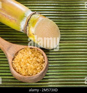 Pezzo di canna da zucchero e zucchero a velo - Saccharum officinarum Foto Stock