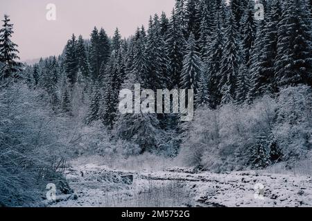 Un paesaggio invernale con lampione e strada. Ci sono alberi innevati ed è nuvoloso. Foto Stock