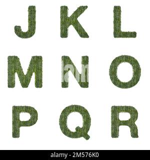 3D Set di rendering di caratteri bambù che include lettere, numeri e segni di punteggiatura isolati su sfondo bianco, incluso il tracciato incorporato in jpg per una maggiore facilità Foto Stock