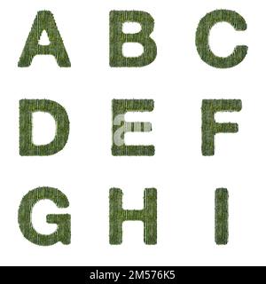 3D Set di rendering di caratteri bambù che include lettere, numeri e segni di punteggiatura isolati su sfondo bianco, incluso il tracciato incorporato in jpg per una maggiore facilità Foto Stock