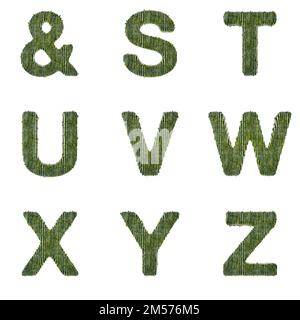 3D Set di rendering di caratteri bambù che include lettere, numeri e segni di punteggiatura isolati su sfondo bianco, incluso il tracciato incorporato in jpg per una maggiore facilità Foto Stock