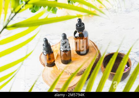 Gruppo di bottiglie di olio essenziale su basi di legno al centro delle foglie di palma con spazio copia Foto Stock