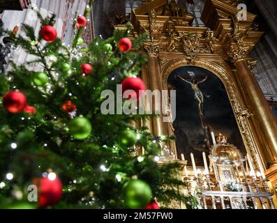 Cracovia, Polonia. 25th Dec, 2022. Albero di Natale e altare visto alla Cattedrale. La notte del 24/25 dicembre (dopo la vigilia di Natale) alle 12:00:00 presso la Cattedrale di Wawel a Cracovia, si tiene una messa di mezzanotte sotto la guida del Metropolita di Cracovia. (Foto di Alex Bona/SOPA Images/Sipa USA) Credit: Sipa USA/Alamy Live News Foto Stock