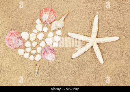 Cuore di conchiglia e conchiglie bianche, stelle marine sulla sabbia. San Valentino, viaggio, vacanza Foto Stock