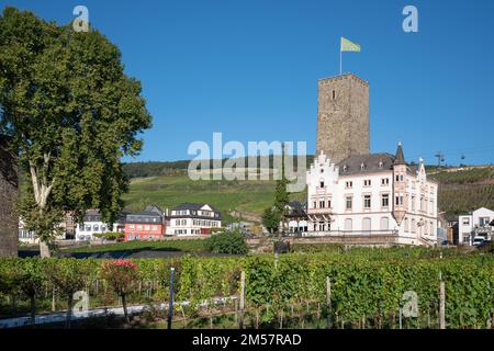 RUEDESHEIM, GERMANIA - 8 OTTOBRE 2021: Ruedesheim all'interno dei vigneti della valle del Reno in una bella giornata autunnale il 8 ottobre 2021 in Germania Foto Stock