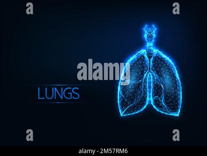 Ologramma futuristico dei polmoni anatomici poligonali bassi e luminosi su sfondo blu scuro. Tecnologie di diagnostica medica. Design moderno a reticolo Illustrazione Vettoriale