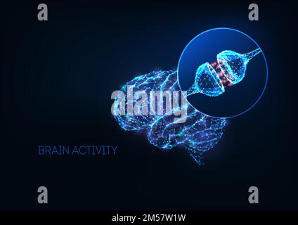 Concetto futuristico di attività cerebrale con basso cervello umano poligonale luminoso e sinapsi neuroni isolati su sfondo blu scuro. Sistema nervoso, neurolo Illustrazione Vettoriale