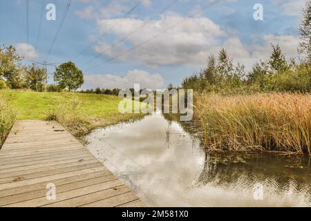 una passeggiata in legno accanto a un corpo d'acqua con erba e alberi sullo sfondo, in una giornata di sole Foto Stock