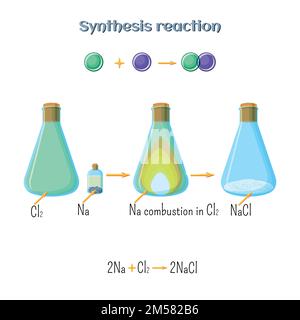 Reazione di sintesi - formazione di cloruro di sodio di metallo sodico e gas di cloro. Tipi di reazioni chimiche, parte 1 di 7. Chimica educativa per k Illustrazione Vettoriale