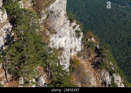 Paesaggio roccioso di montagna in una giornata di sole. Foto naturale sulla vetta ai-Petri, Crimea Mountains Foto Stock