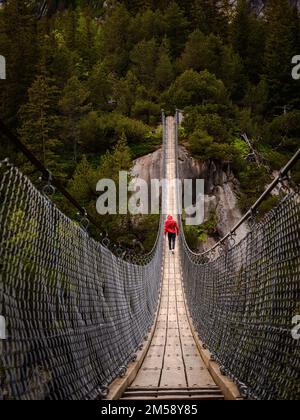 Un bellissimo scatto di un lungo ponte pedonale in legno sopra la profonda gola della Svizzera Foto Stock