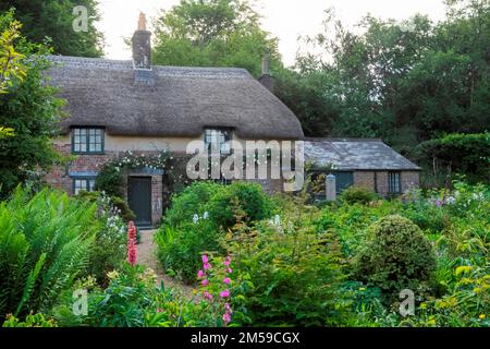 Inghilterra, Dorset, Dorchester, Hardy's Cottage, Ligher Bockhampton Village, Luogo di nascita dell'autore inglese Thomas Hardy *** Didascalia locale *** Aut Foto Stock