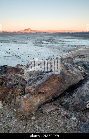 Der versteinerte Wald von Jaramillo in Patagonien, Argentinien. Foto Stock