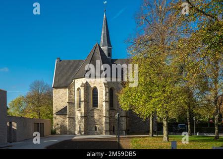 Deutschland, Vreden, Berkel, Westmuensterland, Muensterland, Westfalen, Nordrhein-Westfalen, NRW, Katholische Stiftskirche St Felicitas des Ehemalige Foto Stock