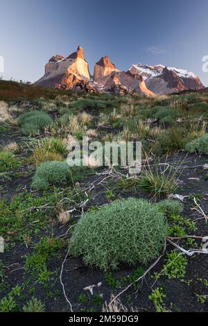 Im Torres del Paine Nationalpark a Süd-Patagonien, Cile. Foto Stock