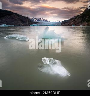 Im Torres del Paine Nationalpark a Süd-Patagonien, Cile. Foto Stock