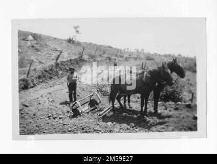 Didascalia originale: 'Mesa Grande. Truck Trail". 1936 - 1942. Regione del Pacifico (Riverside, CA). Stampa fotografica. Dipartimento dell'interno. Ufficio degli affari indiani. Agenzia di missione. 11/15/1920-6/17/1946. Fotografie Foto Stock