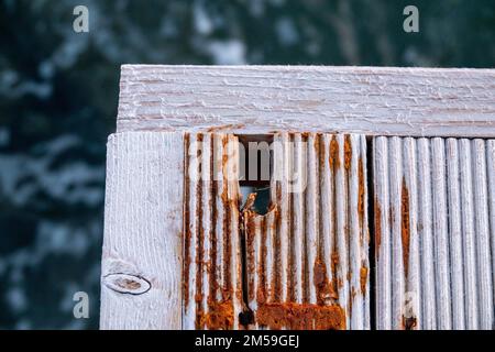 Pezzo di legno dipinto di bianco e arrugginito nella vita naturale, sfondo verde natura. Foto Stock