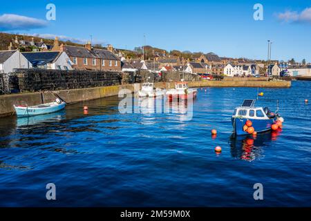 Barche da pesca nel porto di Johnshaven sulla costa del Mare del Nord dell'Aberdeenshire in Scozia, Regno Unito Foto Stock