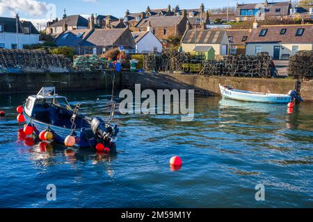 Pentole di aragosta e attrezzatura da pesca sul molo del villaggio costiero di Johnshaven sulla costa del Mare del Nord dell'Aberdeenshire in Scozia, Regno Unito Foto Stock