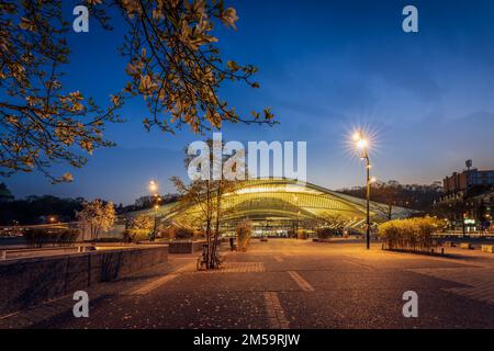 Una vista panoramica dello splendido esterno della stazione ferroviaria di Liegi-Guillemins a Liegi, Belgio Foto Stock